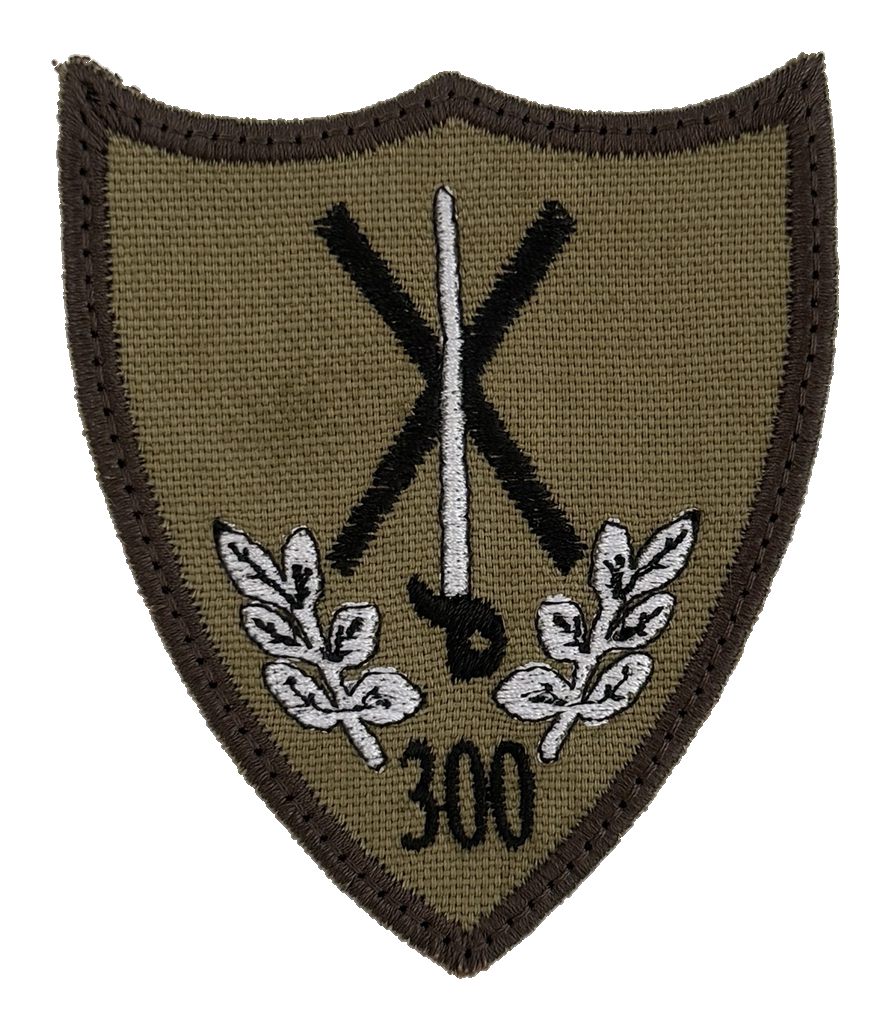 Batalionul 300 Infanterie Mecanizată „Sfântul Andrei”