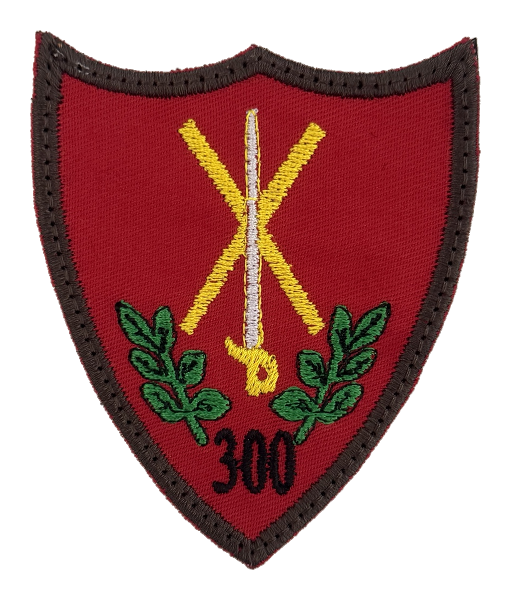 Batalionul 300 Infanterie Mecanizată „Sfântul Andrei” — Varianta 2