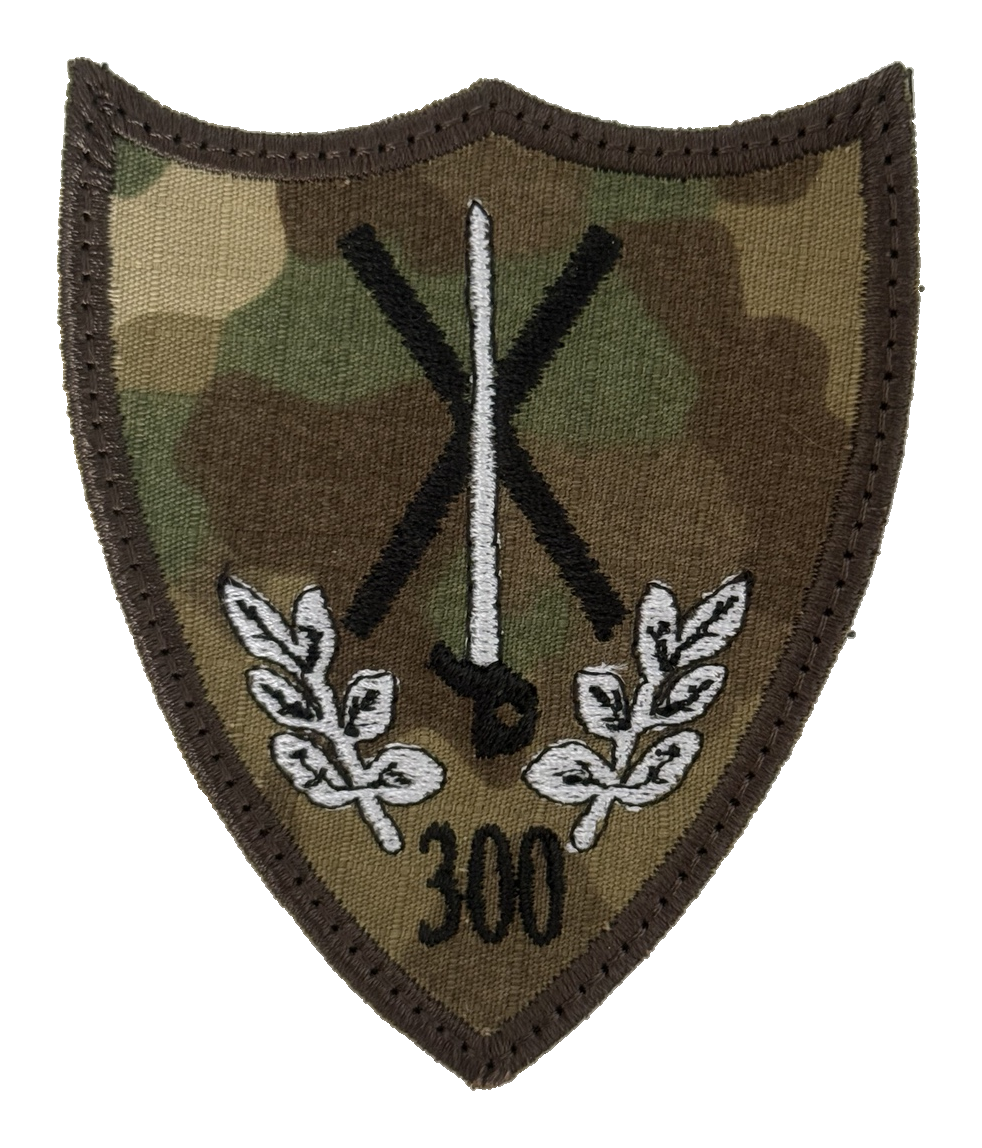 Batalionul 300 Infanterie Mecanizată „Sfântul Andrei” — Varianta 3