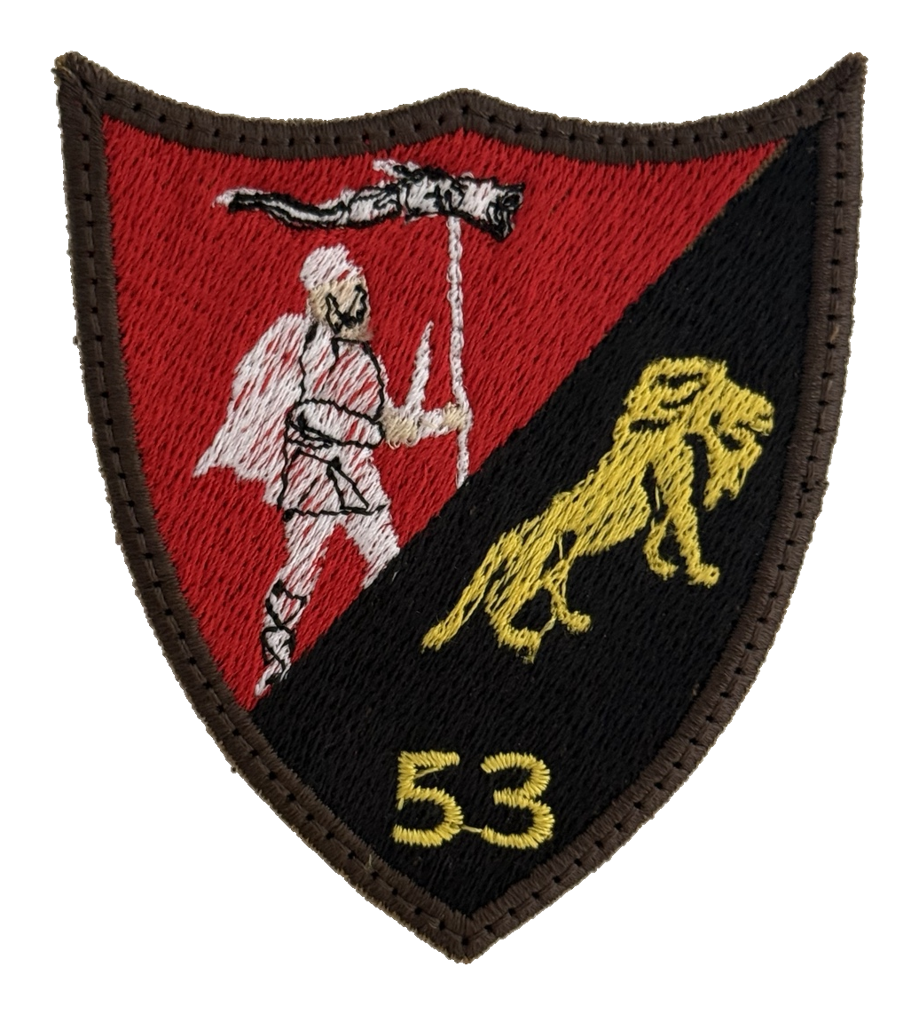 Batalionul 53 Comando „Smaranda Brăescu”